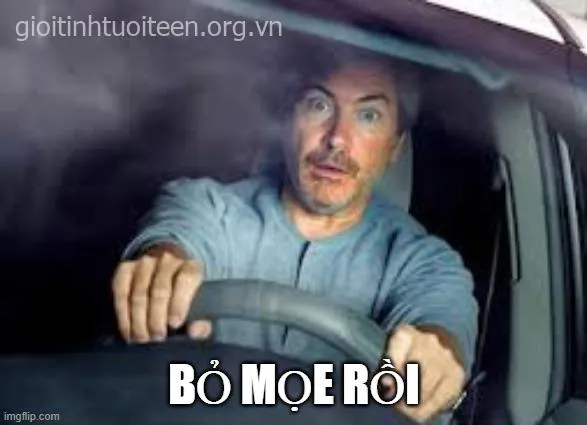 Meme chế ánh nhìn né tránh mang sắc thái tinh tế