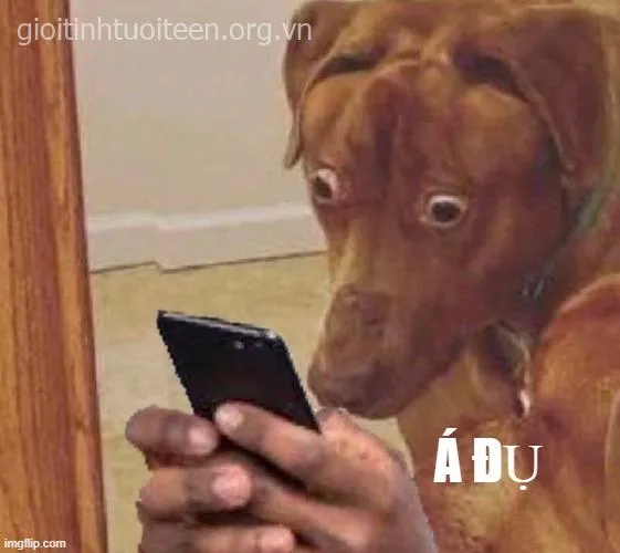 Ảnh vui dáng người co lại cực kỳ hài hước