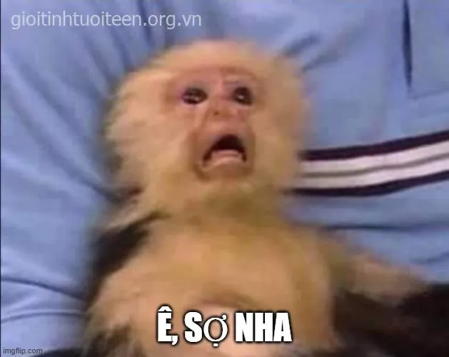 Meme troll ánh mắt kinh hãi lan truyền mạnh trên mạng