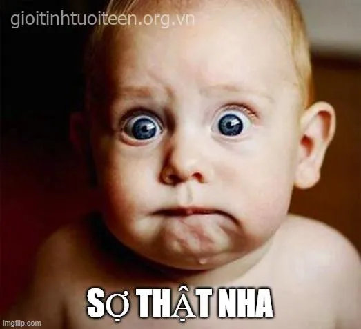 Meme hoảng loạn dùng nhiều trong tình huống bất ngờ vui