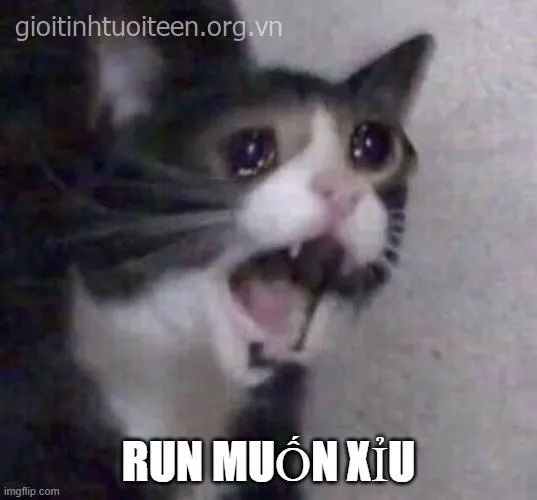 Ảnh chế cảm xúc cực đoan cho thấy nét sợ đầy nghệ thuật