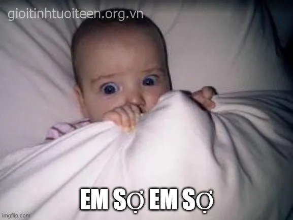 Meme sợ hãi: Khi bạn chứng kiến điều kinh khủng đến mức không dám nhìn tiếp