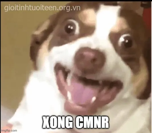 Meme hoảng sợ ngốc nghếch nhưng vẫn duyên dáng