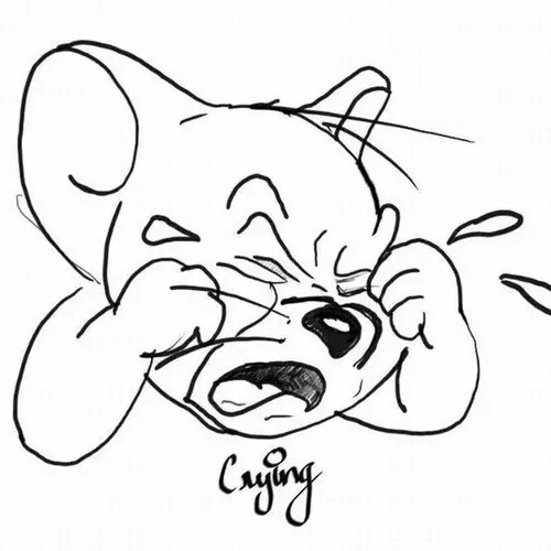 Ảnh vui rơi lệ liên hệ cảm xúc dồn nén trong tình huống bất lực