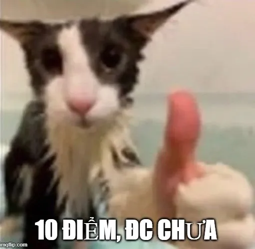 Meme 10 điểm không có nhưng cổ vũ hành động thông minh đáng khen