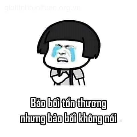 Meme khóc nhìn tưởng buồn mà lại khiến người ta bật cười khẽ.