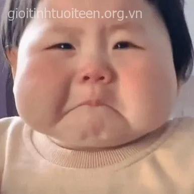 Meme vui biểu cảm thật lòng khiến dân mạng rần rần