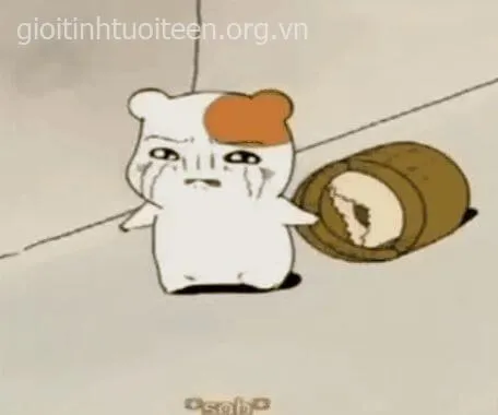 Meme troll châm biếm nhẹ nhàng mà sâu cay