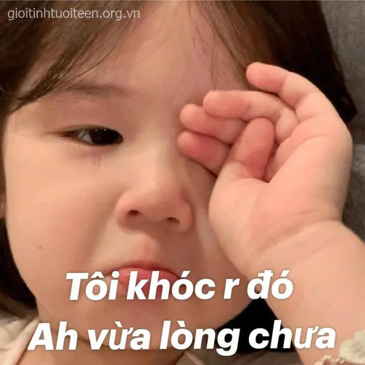 Tôi khóc rồi đó, anh vừa lòng chưa