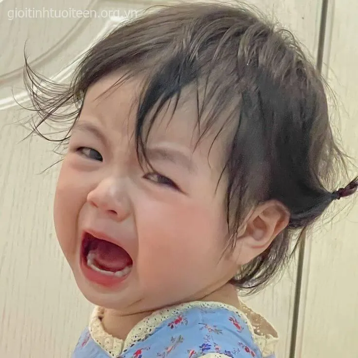 Meme khóc đau khổ trông vừa bi kịch vừa buồn cười.