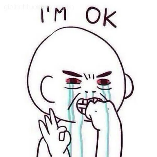 Meme khóc hết nước mắt, biểu cảm nhìn thật buồn cười.