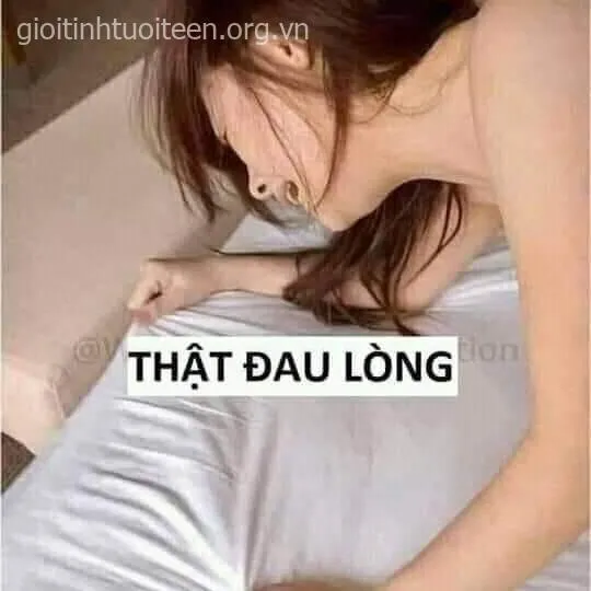 Meme khóc trong lòng, biểu cảm đầy tâm trạng bi ai.