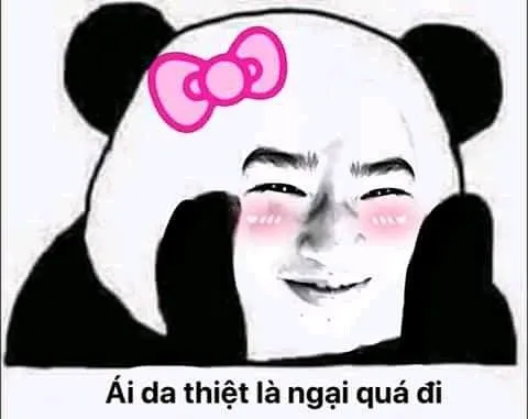 Meme gấu trúc che mặt ngại ngùng cực kỳ dễ thương