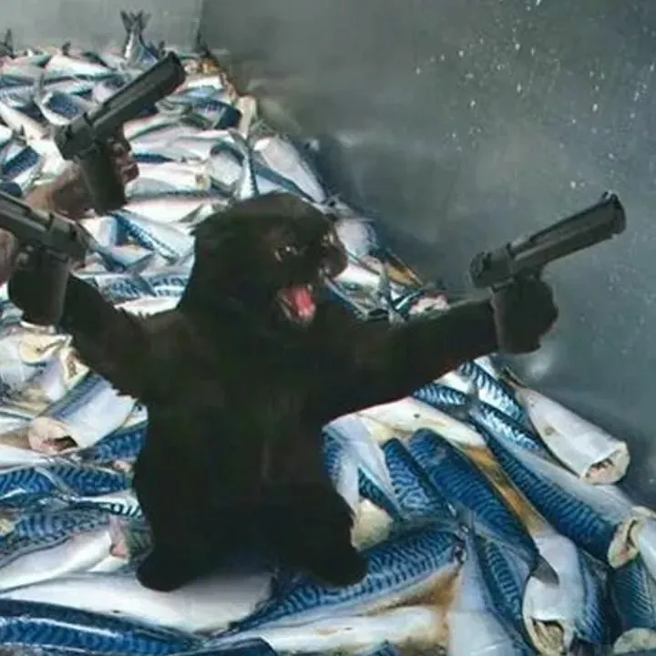 Ảnh chế mèo filter đen trắng vibe mafia cool