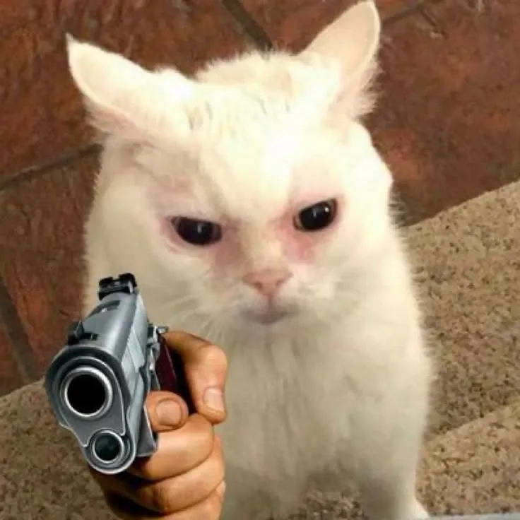 Meme mèo cầm súng: dữ dằn mà dễ thương khó tả
