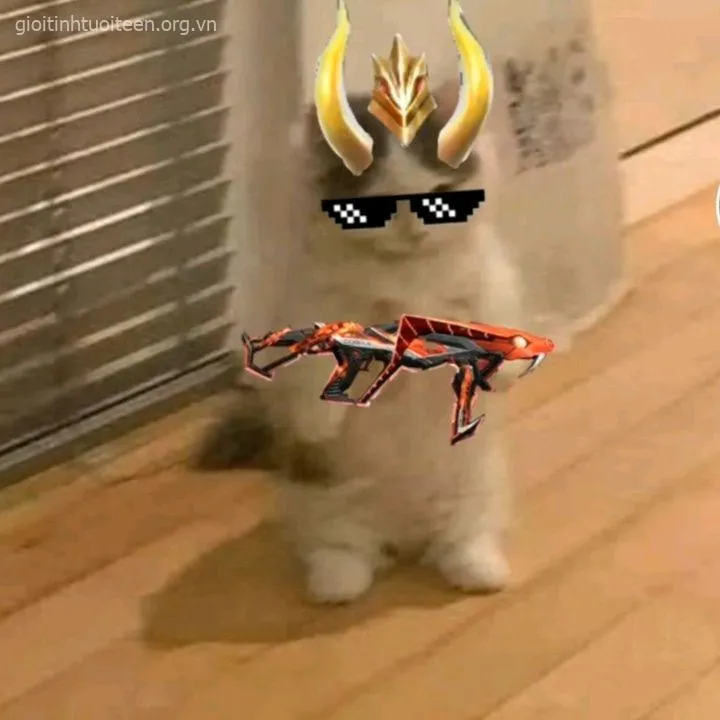 Meme chế mèo cosplay gangster cầm súng đồ chơi