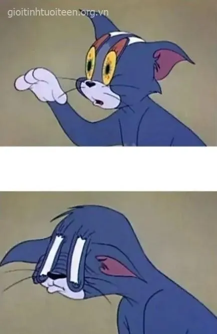 Biểu cảm mèo Tom ngáp to, ánh mắt lim dim cực đáng yêu.