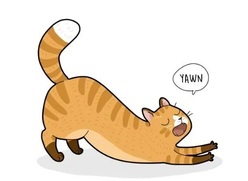 Ảnh hài mèo gục mặt vào bát cơm cực đáng yêu