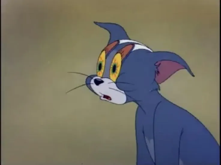 Ảnh troll mèo lim dim bên ly cà phê sáng