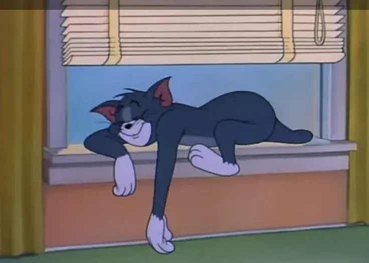 Hình troll mèo mướp ngủ gật giữa lớp học online