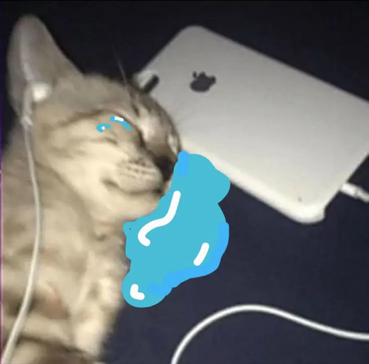 Meme mèo tủi thân kèm caption “thôi kệ”.