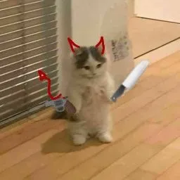 Meme mèo cầm dao: biểu cảm giận mà vẫn đáng yêu cực độ