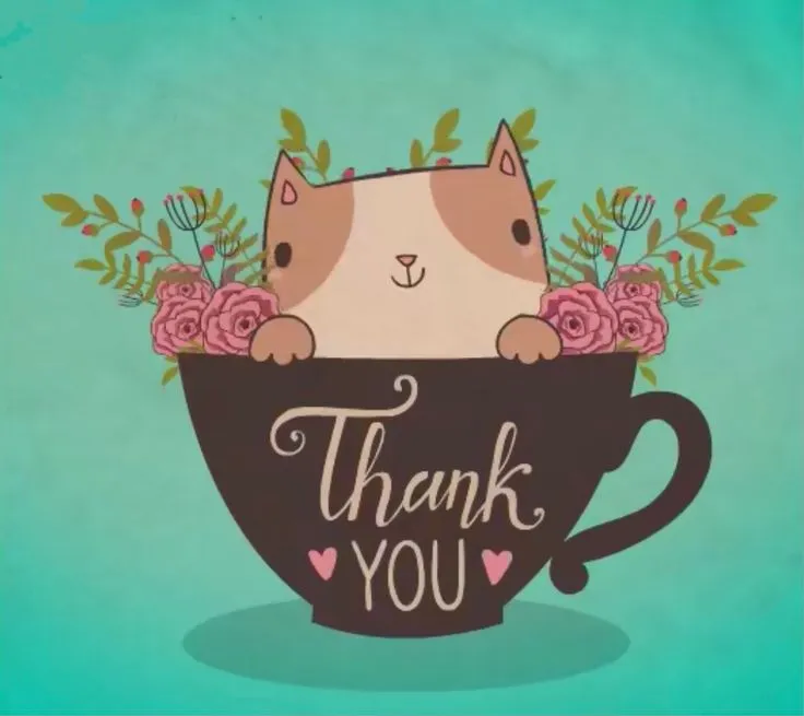 Mèo chắp tay nhỏ, biểu cảm biết ơn cực ngộ nghĩnh.