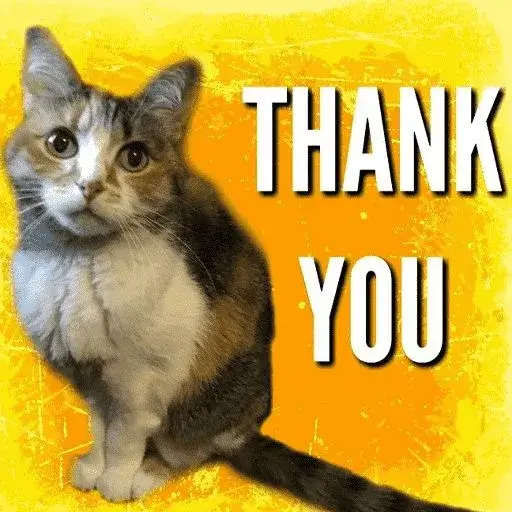 Meme mèo cảm tạ với đôi tai cụp dễ thương.