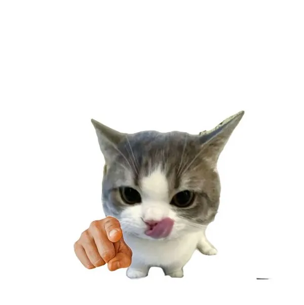 Meme hài mèo cười chỉ tay nụ cười lém lỉnh tự nhiên