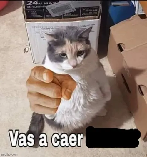 Hình chế mèo cà khịa chỉ tay lan truyền khắp Facebook