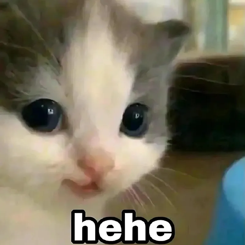 Meme hài mèo nhếch mép nửa cười nửa thật