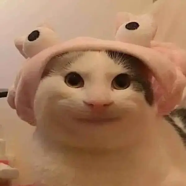 Meme mèo cười lan truyền như vũ bão trên TikTok và Facebook