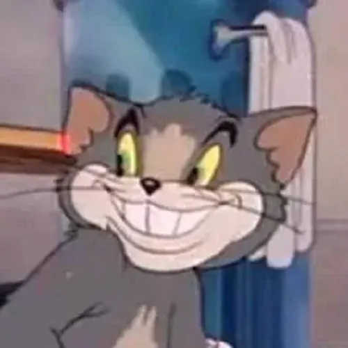 84 Hình chế mèo cười tinh quái lan truyền TikTok