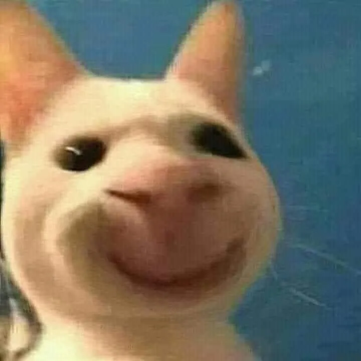 Khi mèo nhếch mép: loạt ảnh chế nhìn phát hiểu ngay