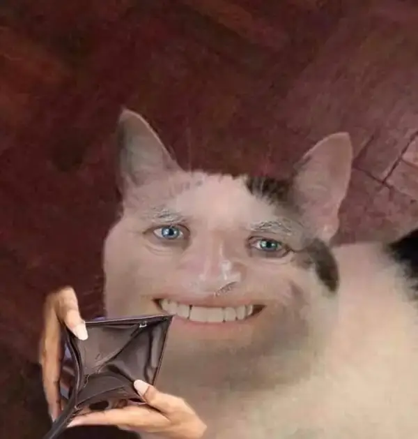 Meme hài mèo cười ánh mắt lém lỉnh hút view.