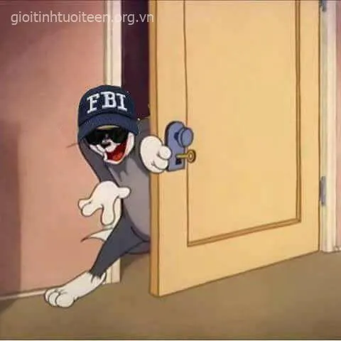 Mèo Tom cười chế giễu, ánh mắt liếc ngang cực độc đáo.