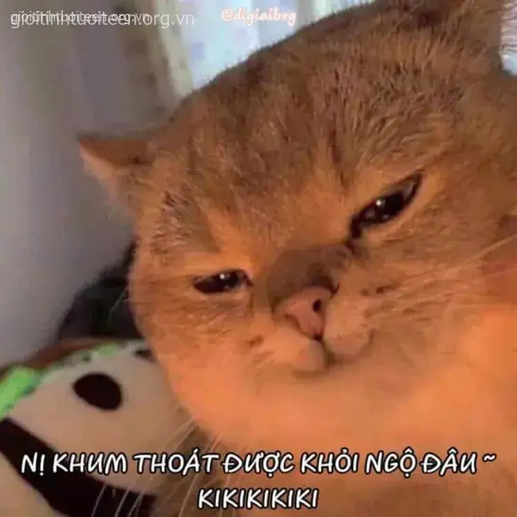 87 Nét mặt ranh mãnh, mèo cười mím môi cực gắt.