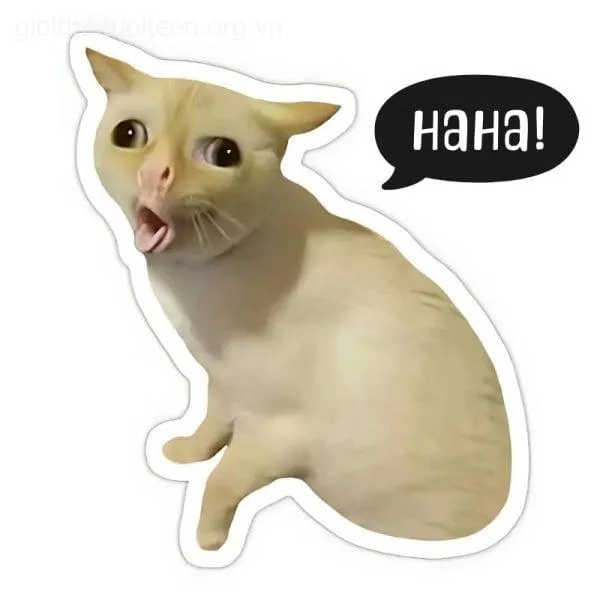 Ảnh meme vui mèo cười nheo mắt cực ngộ nghĩnh.