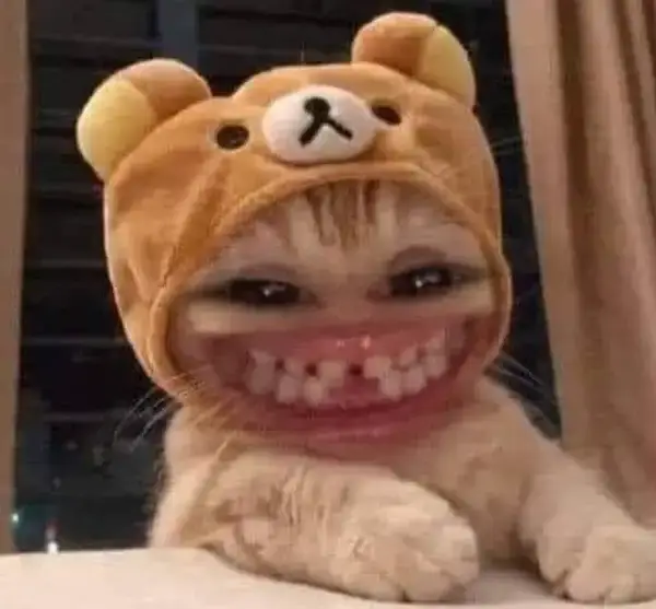 Khuôn mặt mèo cười lòi hàm răng, cực bá đạo.