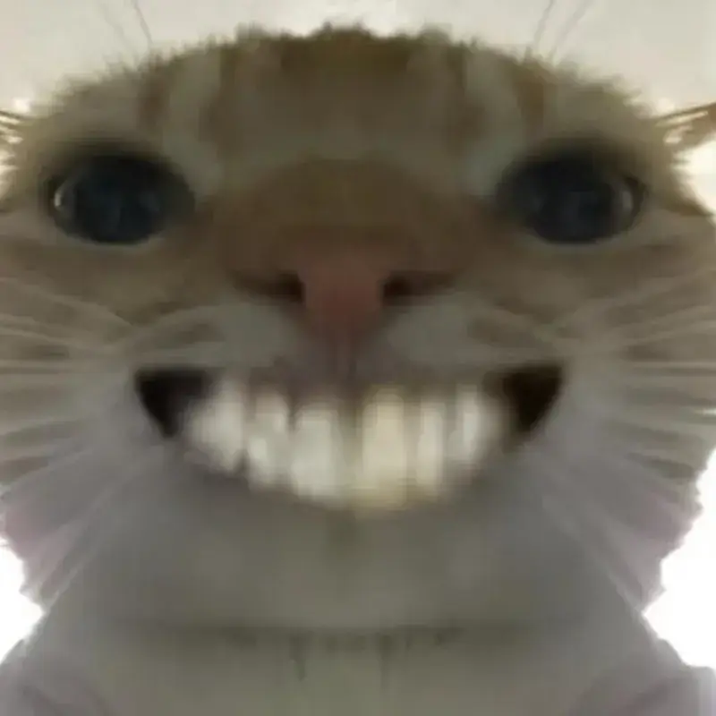 Ảnh hài thú cưng troll nhau bằng nụ cười nhe răng