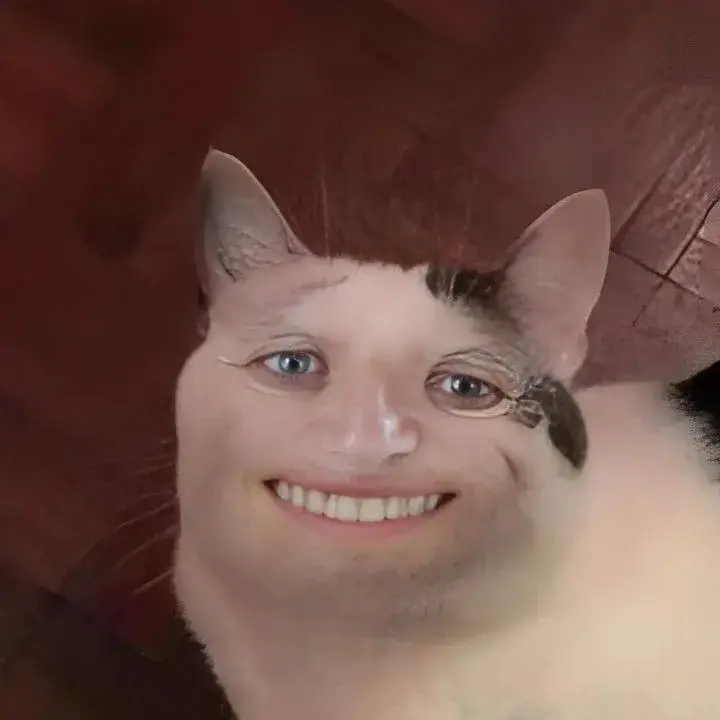 Meme chế răng trắng bật giữa khuôn mặt mèo bá đạo