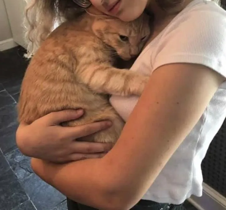 Ảnh troll mèo hiền lành ôm vai bạn cực chill