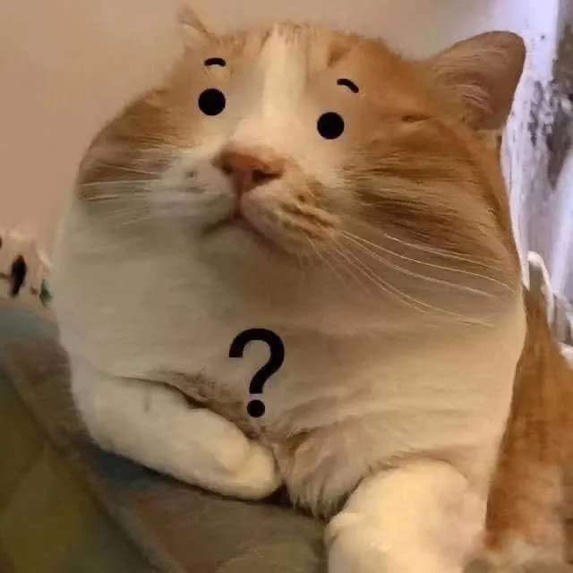 Biểu cảm bất ngờ mèo ánh mắt cay cú cực troll