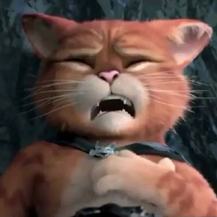 Mèo run rẩy mà vẫn đáng yêu, dân mạng thi nhau chế caption bá đạo