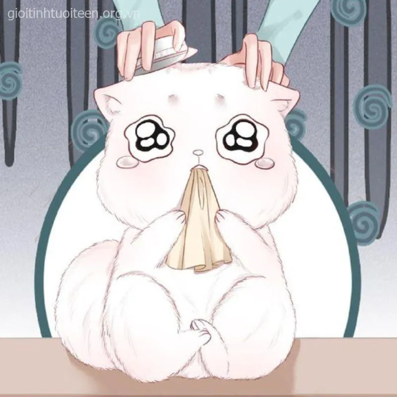 Meme chế mèo khóc thét khiến mạng dậy sóng