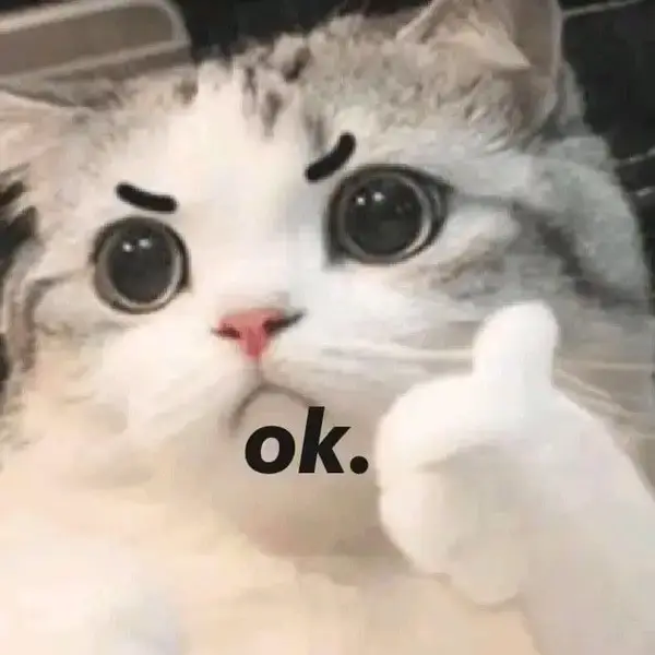 Gương mặt mèo vui nhộn, tay giơ like cực hóm hỉnh.