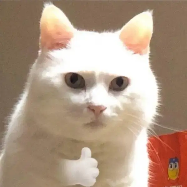 Meme mèo like với biểu cảm đáng yêu khiến ai cũng muốn thả tim