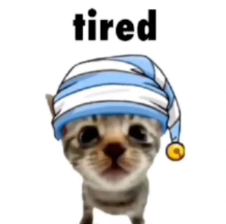 Ảnh vui mèo buồn ngủ biểu cảm cực thật