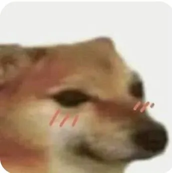 Ảnh chó Shiba mắc cỡ đỏ mặt siêu buồn cười