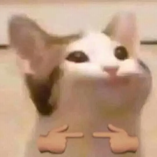 Ảnh vui mèo e dè trước lời khen trong chat